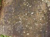 image of grave number 174334